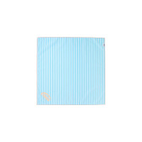 PIN STRIPE SCARF-SKY BLUE