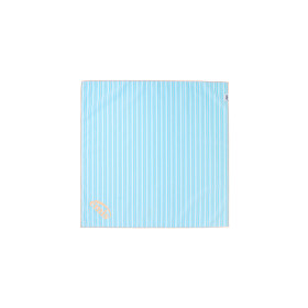 PIN STRIPE SCARF-SKY BLUE